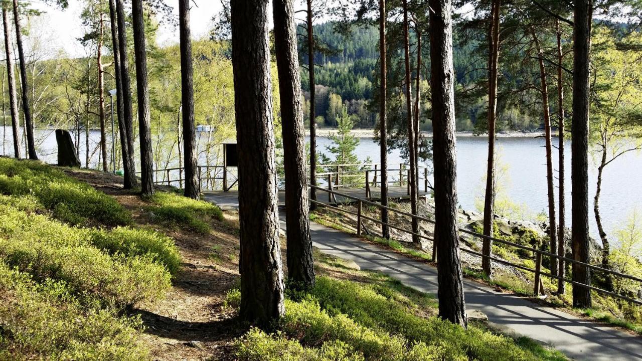Lipno 50 公寓 *