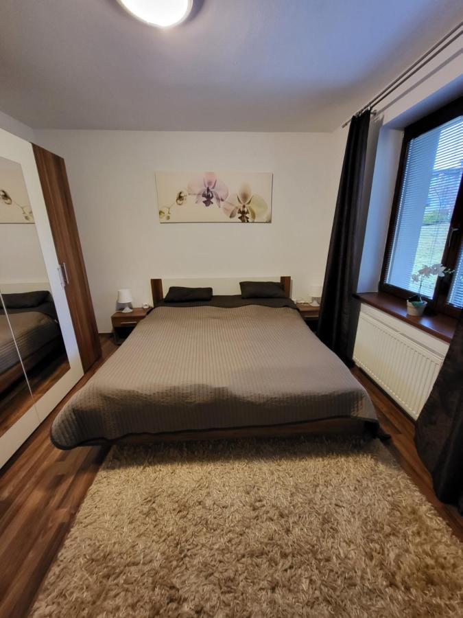 Lipno 50 公寓 伏尔塔瓦河畔利普诺